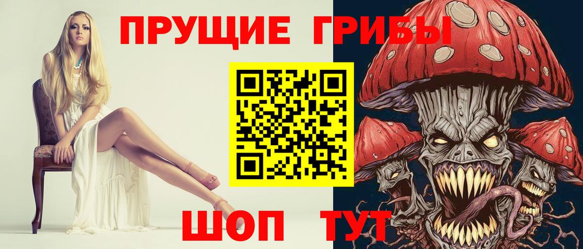 Галлюциногенные грибы Psilocybe  что такое   Вход с VPN  Карабулак  Псилоцибиновые грибы GOLDEN TEACHER 