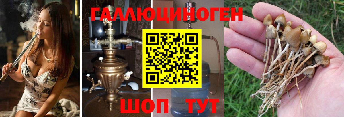 Псилоцибиновые грибы ЛСД Карабулак